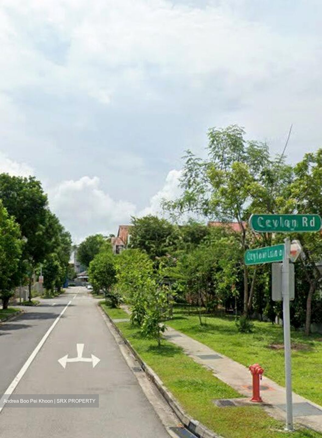 Lorong 101 Changi (D15), Terrace #498162301
